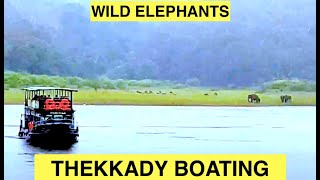 Thekkady Boating  Periyar Lake  Kerala Wildlife  Elephants Deers Gaurs in their Natural Habitat [upl. by Nibbor859]