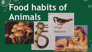 animals eating habitsfood habits of animals for class 6 feeding habits of animals [upl. by Irtimid]