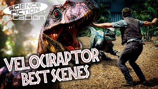 Best Velociraptor Scenes In The Jurassic World Franchise  Science Fiction Station [upl. by Hanleigh666]