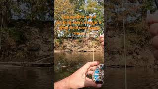 flyfishing troutbum happyplace nature river fishingmethods brooktrout [upl. by Carrissa841]