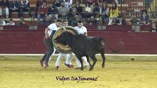 Concurso de jóvenes promesas Zaragoza 06102018  TAUSTE  HD [upl. by Aivul]