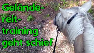 Geländetraining geht schief [upl. by Anidem]