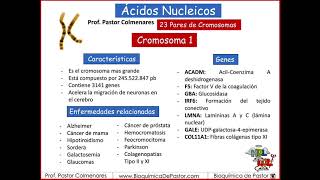 Cromosomas del 1 al 5  23 Pares de Cromosomas  Ácidos Nucleicos parte X [upl. by Anny]