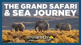 The Grand Safari amp Sea Journey  Cruise1st [upl. by Alebasi448]