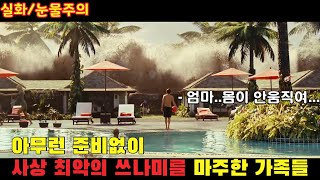 🎬 사상 최악의 쓰나미를 가장 리얼하고 생생하게 표현한 웰메이드 재난영화떡잎부터 달랐던 스파이더맨 톰홀랜드의 스크린 데뷔작 결말포함 [upl. by Llechtim686]