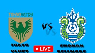 東京ヴェルディ VS 湘南ベルマーレ 今日のサッカー ライブ試合 目標 結果2024 [upl. by Ecerahc]