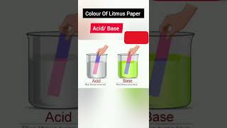 Acid Base Litmus Paper colour science scienceexperiment kalpanamam [upl. by Omero]