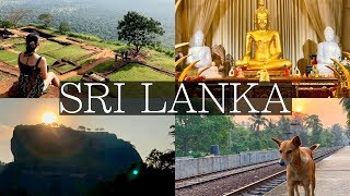 7 Days in Sri Lanka Vlog  Sigiriya Kandy Dambulla Galle Unawatuna Colombo [upl. by Eybba194]