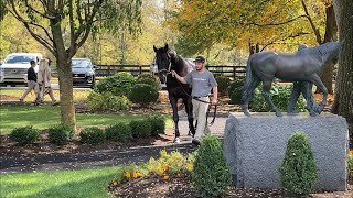 Spendthrift Farm Stallion Show 2020 [upl. by Crespo524]