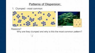 Population Ecology Part 1 [upl. by Airdna]