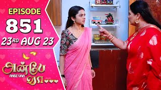 Anbe Vaa Serial Episode 851  23 rd Aug 2023  Virat  Delna Davis  Saregama TV Shows Tamil [upl. by Ayanat]