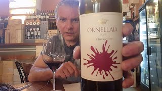 0453  Vinho Ornellaia 2020 vinho vino wine [upl. by Hazrit]