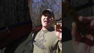 700 BMG Vs Grizzly Bear Kentucky Ballistics [upl. by Elonore990]