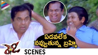 Brahmanandam Trolled by Master Bharath  Ready Movie Comedy Scenes  Ram Pothineni  Genelia  Sunil [upl. by Hesketh]