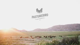 Pasture Raised Chicken Farm in San Diego County CA [upl. by Yenttirb506]