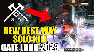 NEW WORLD 2023  NEW BEST WAY to KILL SOLO Caminus Gate Lord Mirepaw Overseer Levy [upl. by Drofnas]