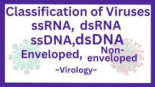 Classification of viruses ssRNAdsRNAssDNAdsDNA Envelopednonenveloped  mnemonics [upl. by Yhtur525]