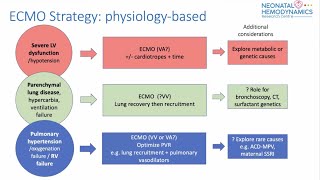 Neonatal ECMO Physiology [upl. by Htiderem]