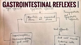 Gastrointestinal reflexes  med tutorials [upl. by Adar]