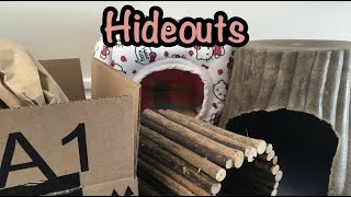 Hideouts for guinea pigs [upl. by Giordano]