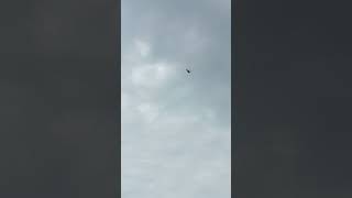 I saw air ambulance flying over at grandma and pas farm [upl. by Anined]