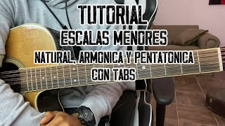 Escalas Menores Natural Armónica y Pentatónica  CON TABS  TUTORIAL [upl. by Atreb]