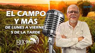 El Campo y Mas sinai1039fm [upl. by Chirlin]