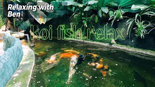 Meditative Koi Pond Relaxing Water Sounds for Deep Sleep 2 [upl. by Attekram]