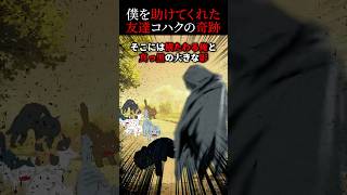 友達猫のコハクが救ってくれた話【2ch感動スレ】 [upl. by Melbourne]