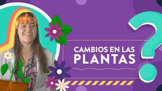 Cambios en las plantas [upl. by Garey]