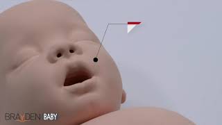 Brayden Baby  Brayden Manikin for Infant CPR training [upl. by Darda]