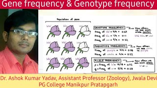 Gene frequency amp Genotype frequency full explanation in Hindi [upl. by Mitchel885]