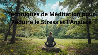 Techniques de Méditation pour Réduire le Stress et lAnxiété [upl. by Nowtna882]