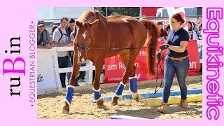 Equikinetic  Reitsportmesse Rhein Main [upl. by Domella]