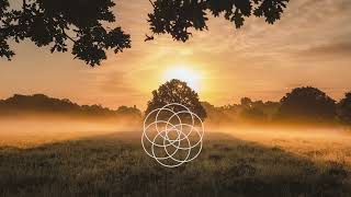 7 Minute Meditation Music 528 Hz Solar plexus Stimulate Love Dissolving Ego Releasing Fear [upl. by Ki]