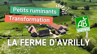 Ferme à reprendre dans lAllier Avrilly 🐐 [upl. by Ydnem]