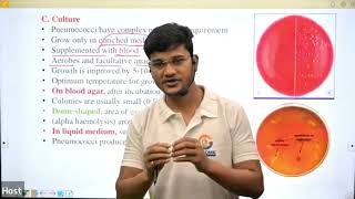 Pneumococci in Hindi II By Sanjay Sir [upl. by Lilaj]