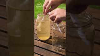 Survival Hack DIY Water Filter 💧 [upl. by Hilly296]