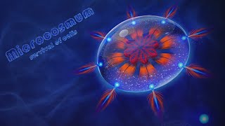 Microcosmum Survival Of Cells 6  Static  FULL WALKTHROUGH  Статик  ПОЛНОЕ ПРОХОЖДЕНИЕ [upl. by Chickie]