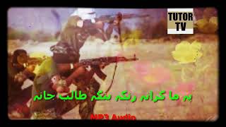 rnga bnga taleb pashto nazam naat tarana nazmona natona song nasheed [upl. by Botsford630]