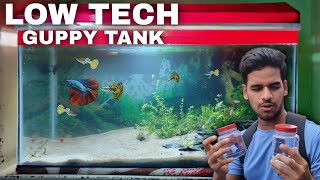 Aquascape Tutorial Guppies  Betta Aquarium  How To Step By Step Planted Tank Guide [upl. by Aranat750]