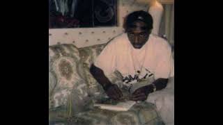 Makaveli  Mista Killuminati unreleased album 1996 check description [upl. by Eelinej]