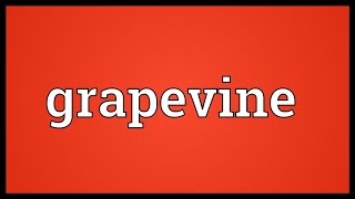 Grapevine Meaning [upl. by Anaiviv123]