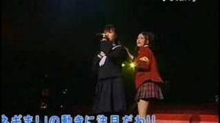 Negima Live Action Shibuya Performance  Kazumi Sayo [upl. by Annalla291]