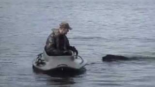 Dog Climbs into the Marsh Rat Duck Boat [upl. by Adebayo]