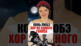 ХОР ИЗ ОДНОГО ГОЛОСА 🐴 Конь  любэ ❤️ хор кавер музыка [upl. by Muryh]