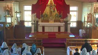 SSPXNZLIVE  Low Sunday  7th April  Sung Mass [upl. by Rennoc371]