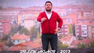 ÖZGÜR KOÇ  DİLEK AĞACI  2013 [upl. by Alimrahs868]