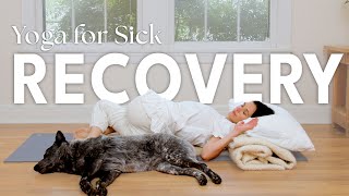 Yoga For Sick Recovery [upl. by Ekeiram]