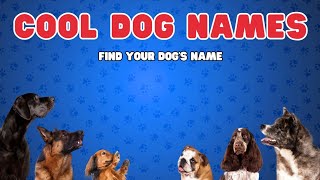 Cool Dog Names amp Meanings Find Your Pups Perfect Name [upl. by Frasier]